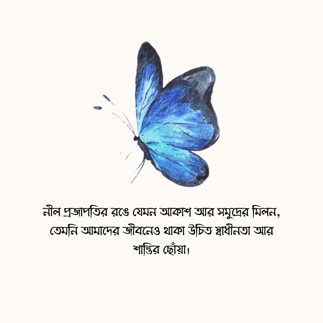 নীল প্রজাপতি নিয়ে ক্যাপশন