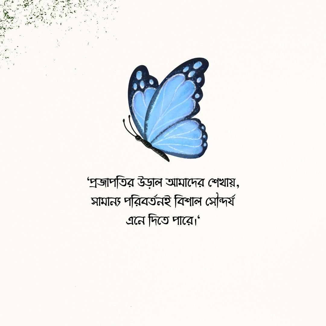 প্রজাপতি নিয়ে উক্তি