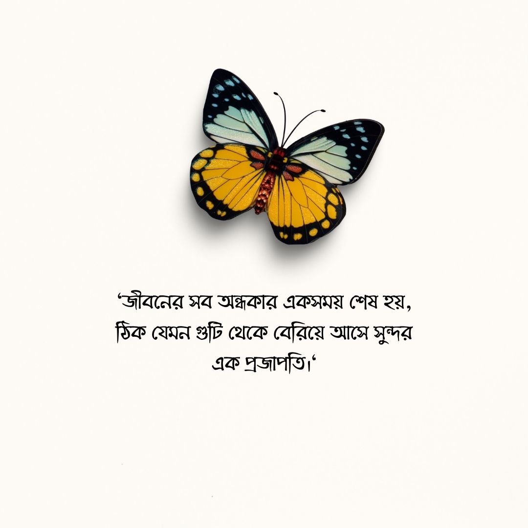 প্রজাপতি নিয়ে কিছু কথা