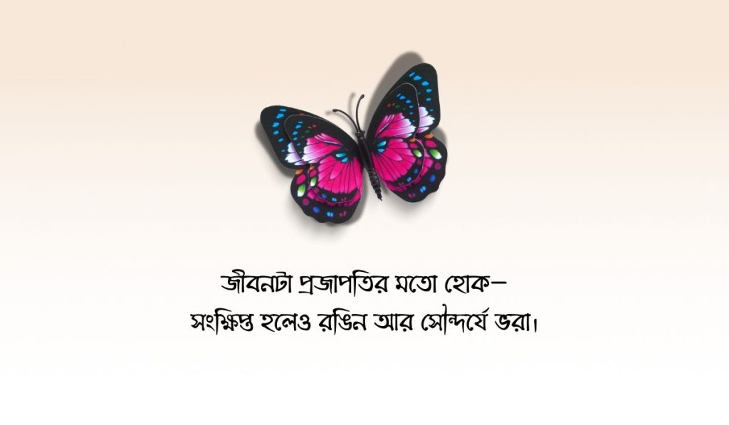 প্রজাপতি নিয়ে ক্যাপশন