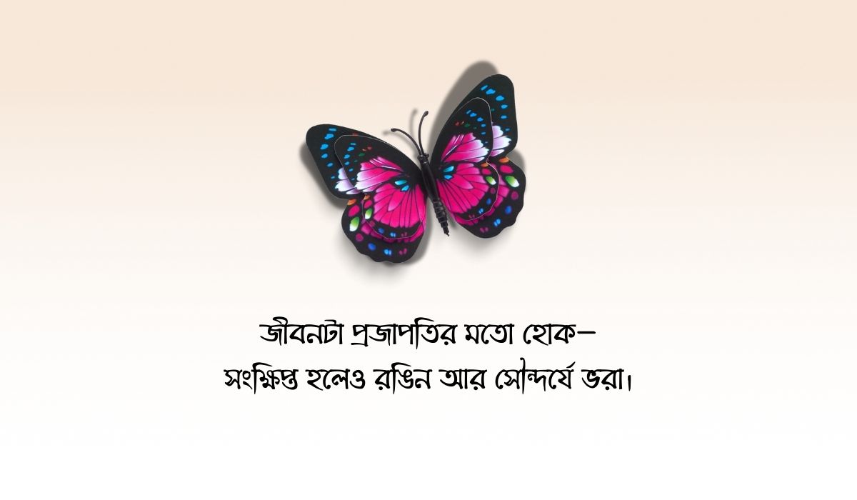 প্রজাপতি নিয়ে ক্যাপশন