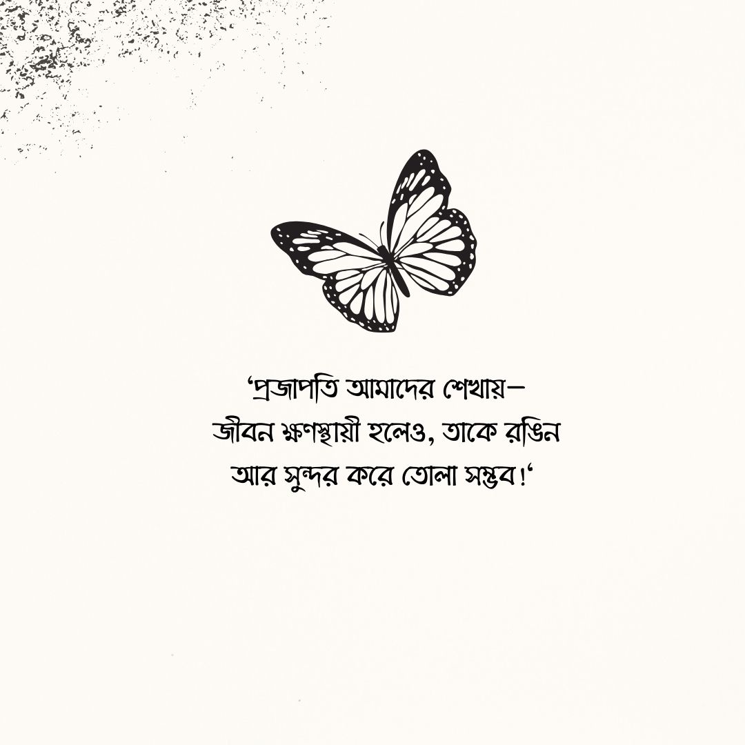 প্রজাপতি নিয়ে স্ট্যাটাস